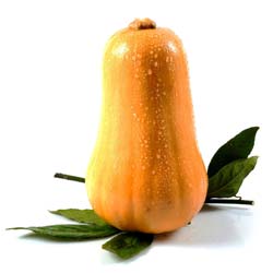 Calabaza almizclera Waltham Butternut